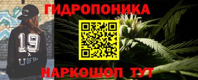 apvp Рузаевка
