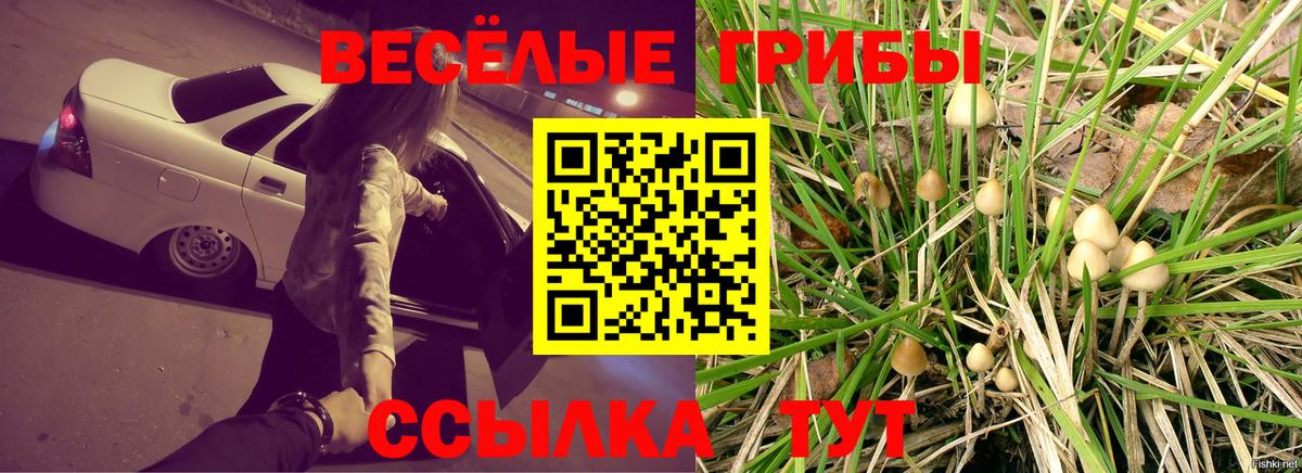 Галлюциногенные грибы MAGIC MUSHROOMS  Вход с VPN  Ростов Великий 
